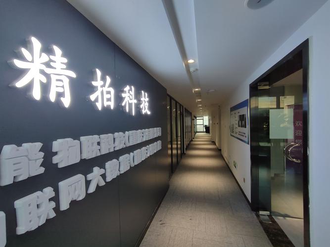 重慶精拍科技 以信息技術(shù)咨詢服務(wù)驅(qū)動(dòng)企業(yè)數(shù)字化轉(zhuǎn)型